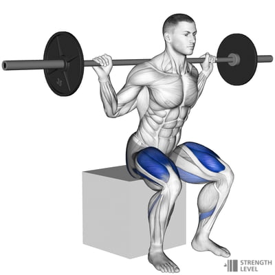 Box Squat Standards for Men and Women (lb) - Strength Level
