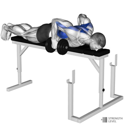 Dumbbell Bench Pull Standards for Men and Women (kg) - Strength Level