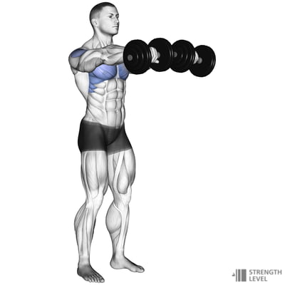 Dumbbell Front Raise Standards for Men and Women (lb) - Strength Level