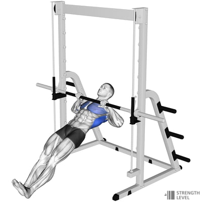 Chest On Inverted Bench Rows Inverted Row Standards for Men and Women (lb) - Strength Level