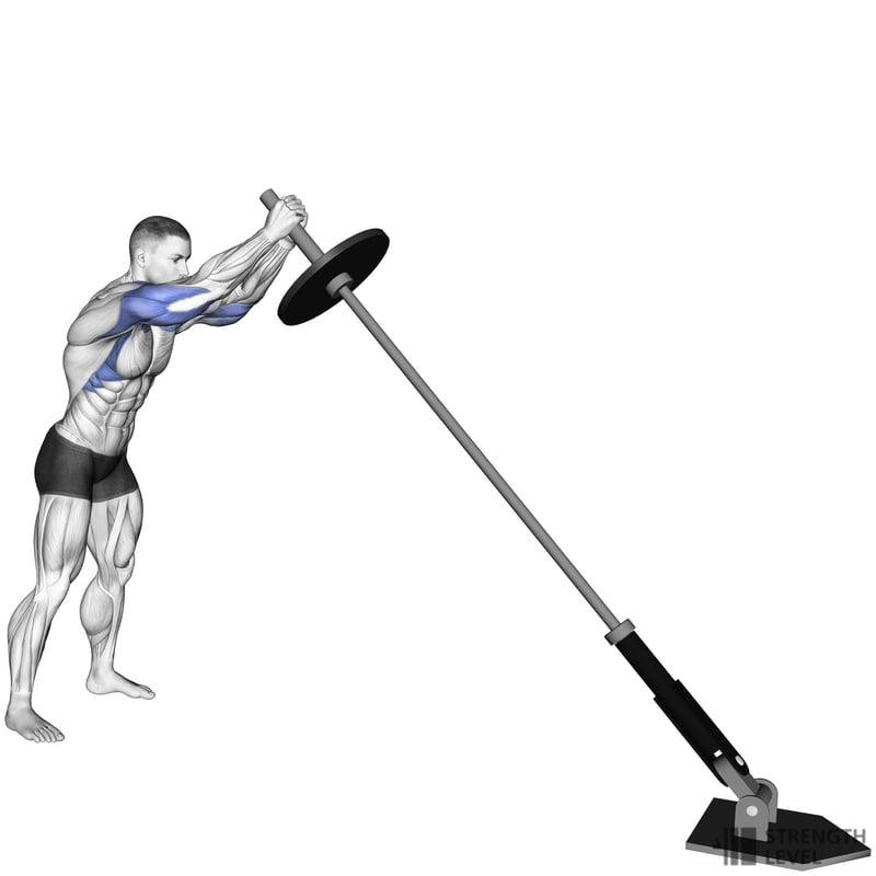 Landmine Press Standards For Men And Women lb Strength Level