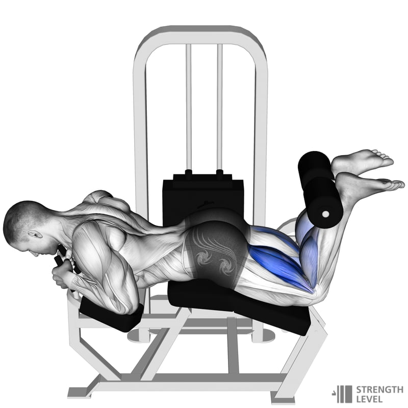Leg Extension Vs Leg Curl At Benjamin Ferguson Blog