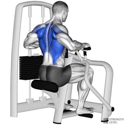 Rudern am Gerät Standards für Männer und Frauen (lb) - Strength Level