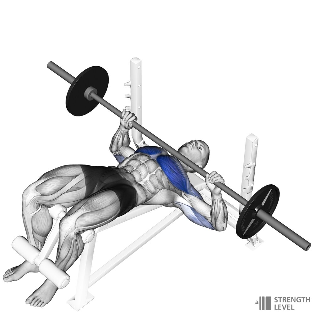 Supino Declinado Padr es Para Homens E Mulheres lb Strength Level Supino Declinado Padr es Para Homens E Mulheres lb Strength Level