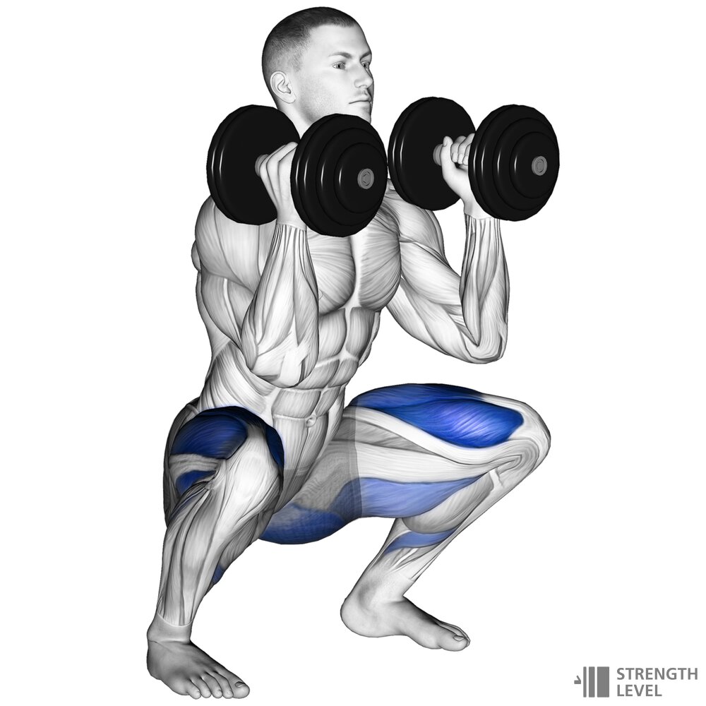 Dumbbell Front Squat Standards For Men And Women lb Strength Level