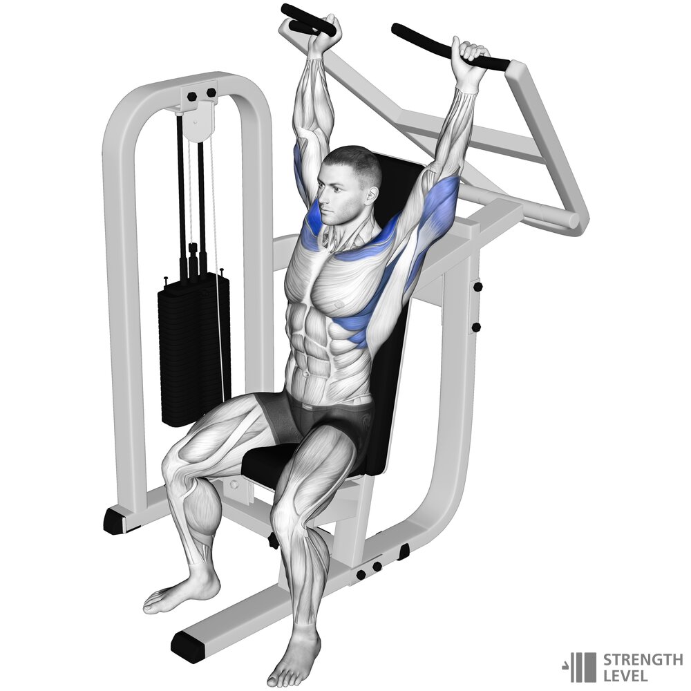 Machine Shoulder Press Standards For Men And Women lb Strength Level